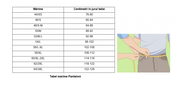 Pantaloni pentru lucru Professional, tesatura rezistenta, 8 buzunare [2]