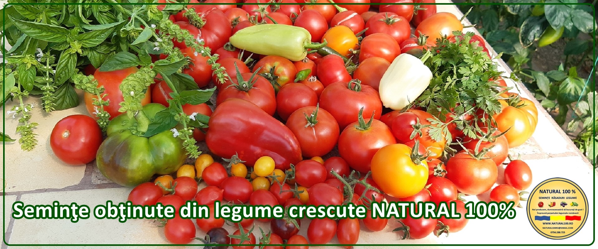 Rasaduri 2025, rezervare prin telefon: 0756.288.725