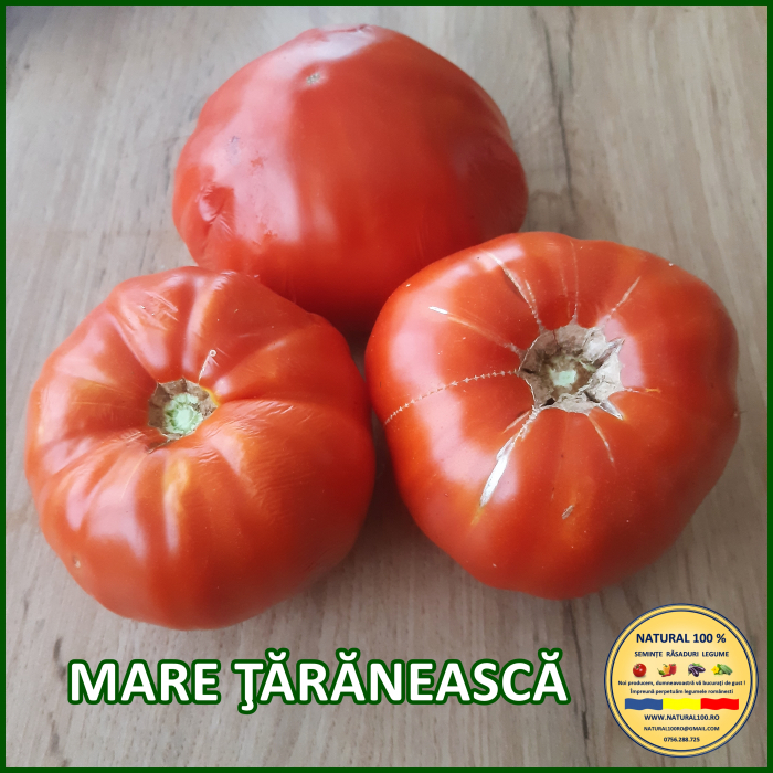 ROSII MARE TARANEASCA www.natural100.ro [3]