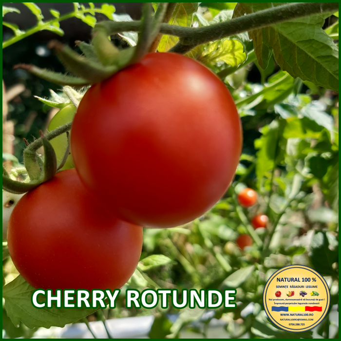 ROSII CHERRY ROTUNDE www.natural100.ro [2]