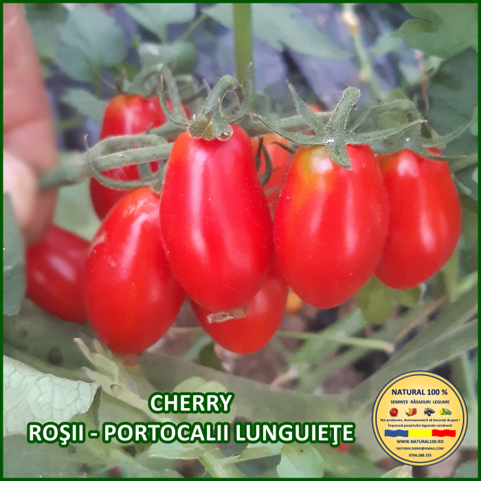 ROSII CHERRY ROSII - PORTOCALII LUNGUIETE www.natural100.ro [2]