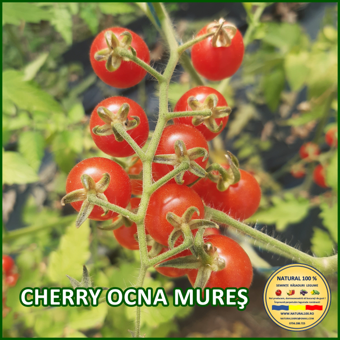 ROSII CHERRY OCNA MURES www.natural100.ro [3]
