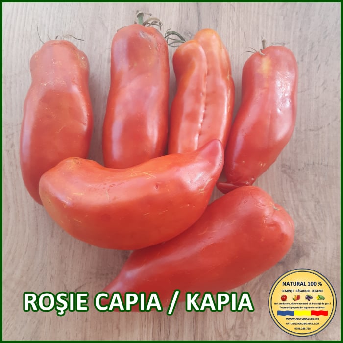 ROSIE CAPIA / KAPIA [3]