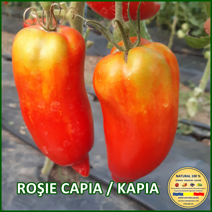 ROSII CAPIA / KAPIA www.natural100.ro [2]