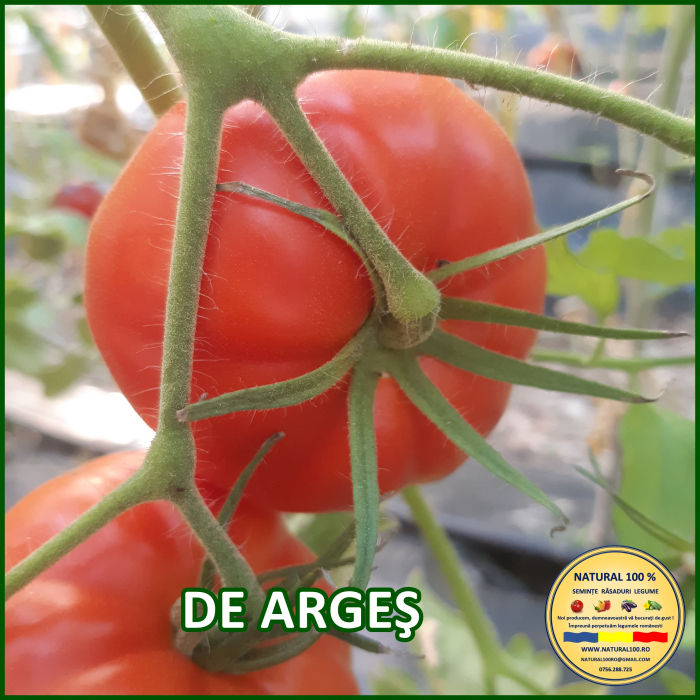 ROSII DE ARGES www.natural100.ro [3]