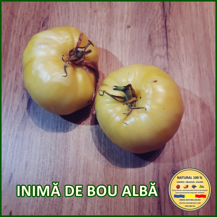 ROSII INIMA DE BOU ALBA www.natural100.ro [3]