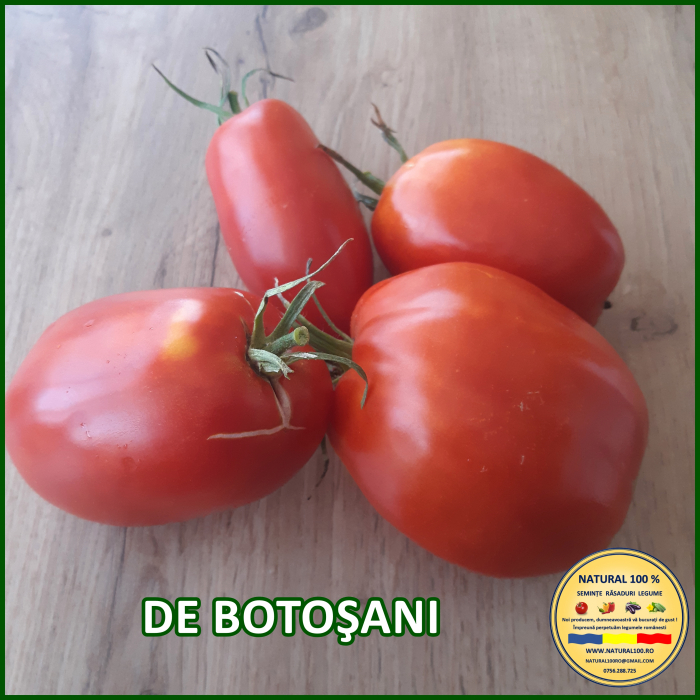 ROSII DE BOTOSANI www.natural100.ro [3]