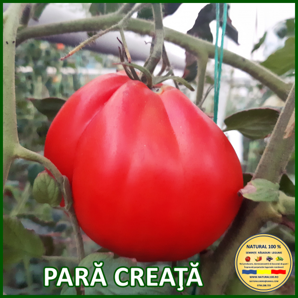 ROSII PARA CREATA www.natural100.ro [2]