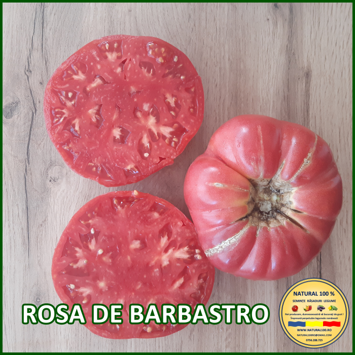 ROSII ROSA DE BARBASTRO www.natural100.ro [3]
