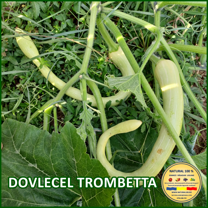 DOVLECEL TROMBETTA www.natural100.ro [3]
