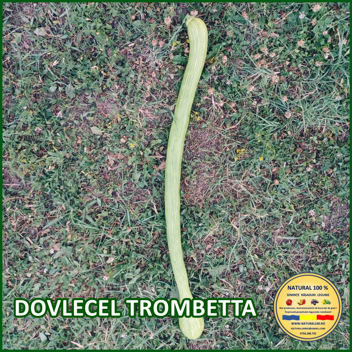 DOVLECEL TROMBETTA www.natural100.ro [6]