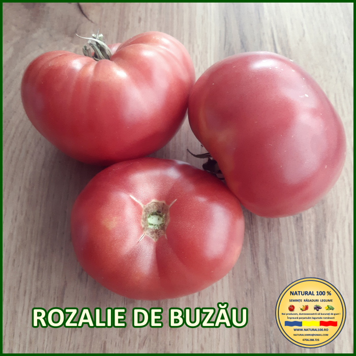 ROSII ROZALIE DE BUZAU www.natural100.ro [3]