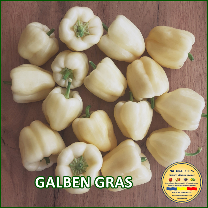 ARDEI GALBEN GRAS www.natural100.ro [3]