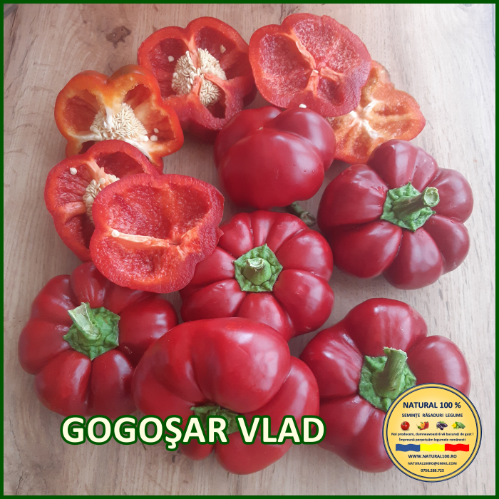 ARDEI GOGOSAR VLAD www.natural100.ro [3]
