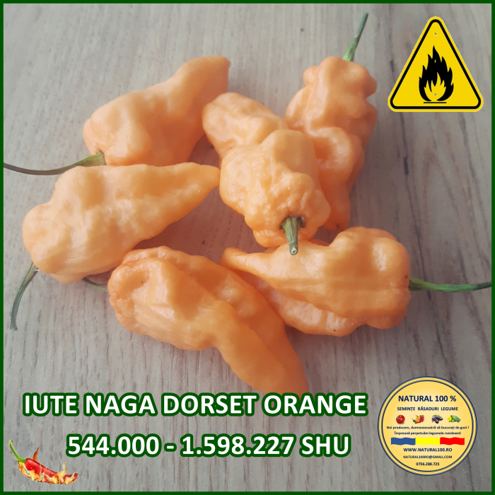 ARDEI IUTE NAGA DORSET ORANGE www.natural100.ro [3]
