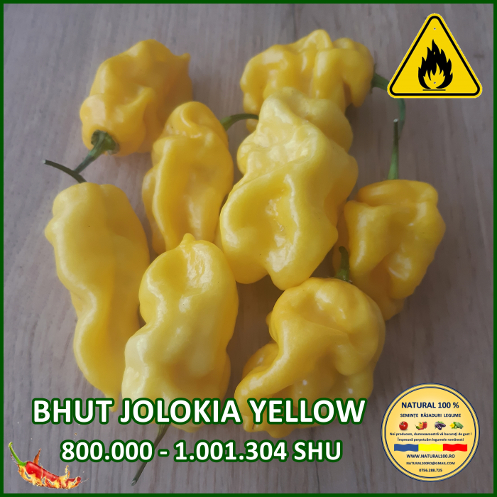 ARDEI IUTE BHUT JOLOKIA YELLOW www.natural100.ro [3]