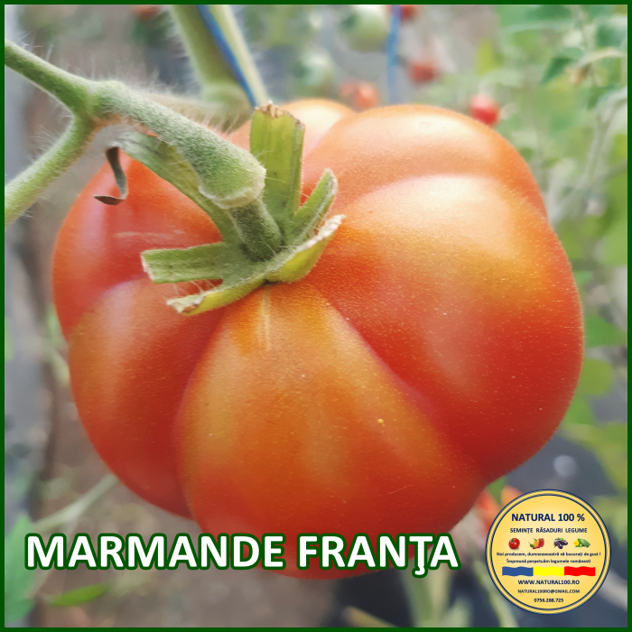 ROSII MARMANDE FRANTA www.natural100.ro [2]
