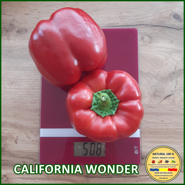 ARDEI CALIFORNIA WONDER www.natural100.ro [3]