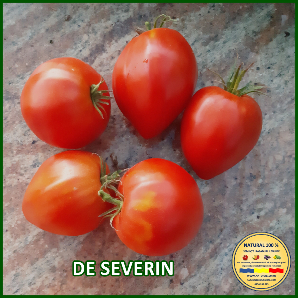 ROSII DE SEVERIN www.natural100.ro [4]