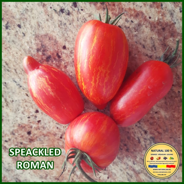 SPEACKLED ROMAN [3]