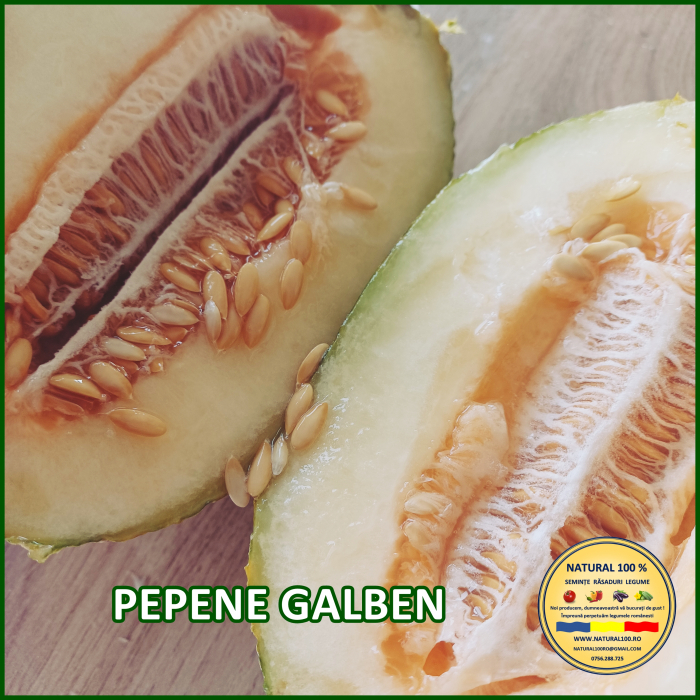 PEPENE GALBEN www.natural100.ro [2]