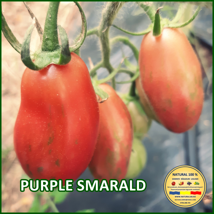 ROSII PURPLE SMARALD www.natural100.ro [3]