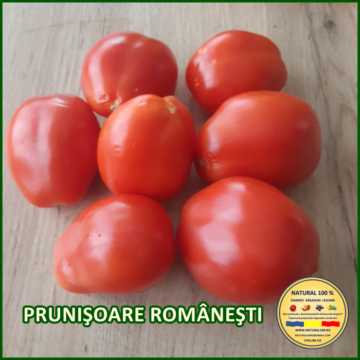 ROSII PRUNISOARE ROMANESTI www.natural100.ro [3]