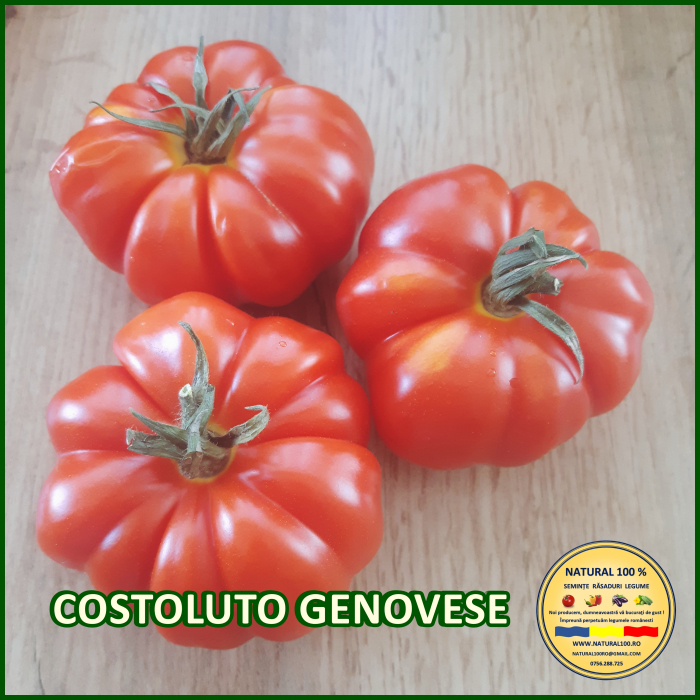 ROSII COSTOLUTO GENOVESE www.natural100.ro [3]