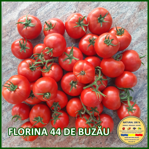 ROSII FLORINA DE BUZAU www.natural100.ro [2]
