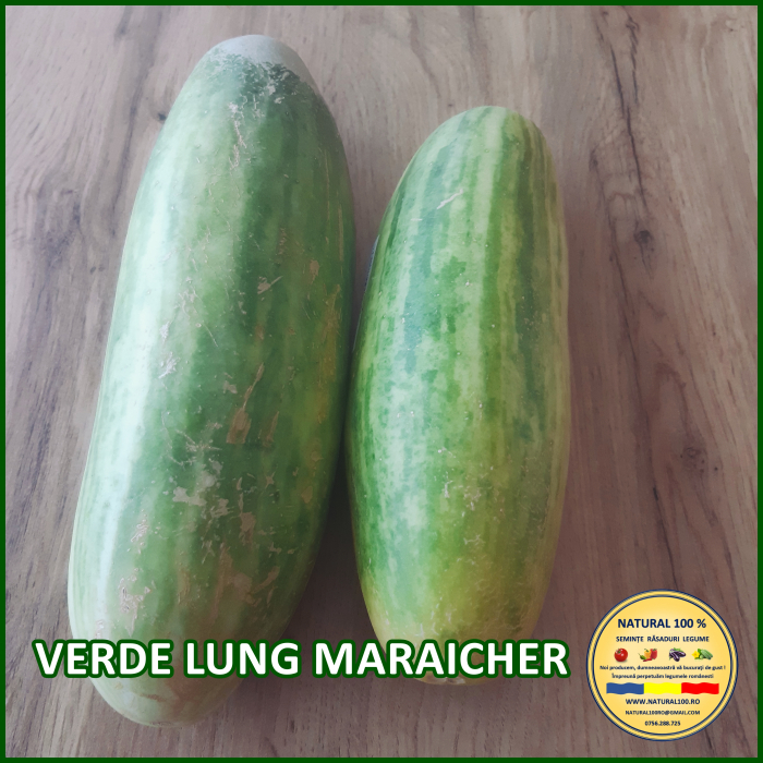 CASTRAVETI VERDE LUNG MARAICHER www.natural100.ro [2]