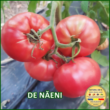 Rosii mari (peste 200 g) - ROSII DE NAENI www.natural100.ro