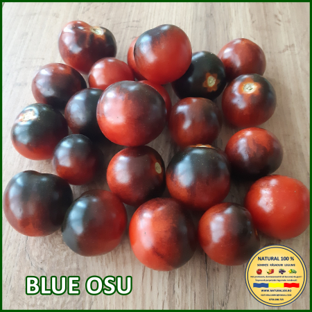ROSII BLUE OSU www.natural100.ro [3]