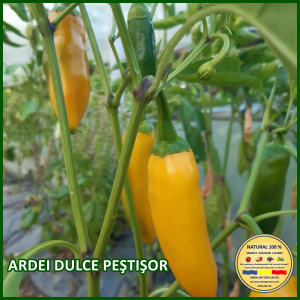 ARDEI DULCE PESTISOR www.natural100.ro [1]