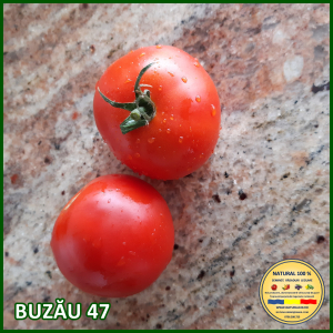Rosii medii (75-200 g) - ROSII BUZAU 47 www.natural100.ro