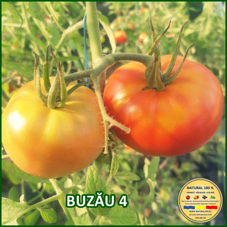 ROSII BUZAU 4 www.natural100.ro [1]