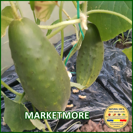 CASTRAVETI MARKETMORE www.natural100.ro [1]