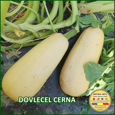 DOVLECEL CERNA www.natural100.ro [1]