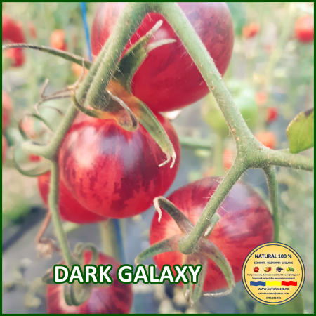 Rosii cherry / mici (5-70 g) - ROSII DARK GALAXY www.natural100.ro