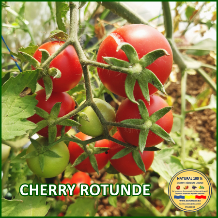Rosii cherry / mici (5-70 g) - ROSII CHERRY ROTUNDE www.natural100.ro