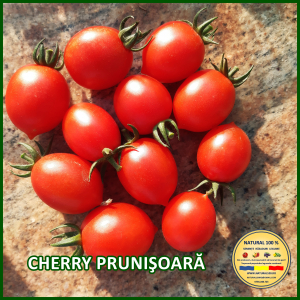 Rosii cherry / mici (5-70 g) - ROSII CHERRY PRUNISOARA www.natural100.ro