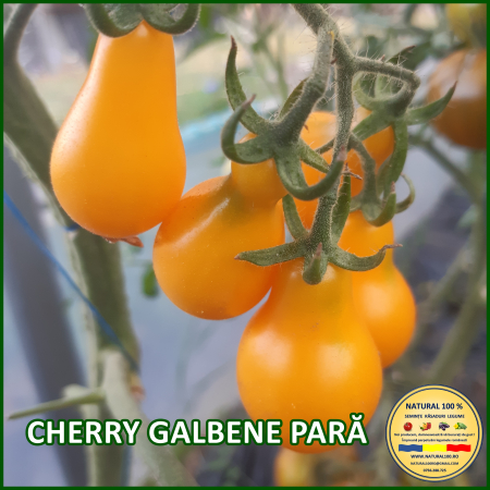ROSII CHERRY GALBENE PARA www.natural100.ro [2]