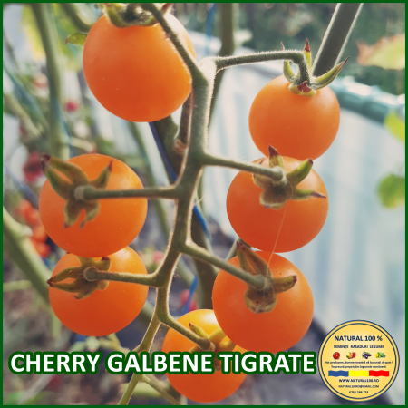 ROSII CHERRY GALBENE TIGRATE www.natural100.ro [1]