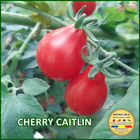 Rosii cherry / mici (5-70 g) - ROSII CHERRY CAITLIN www.natural100.ro