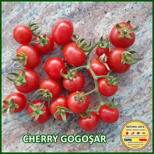 Rosii cherry / mici (5-70 g) - ROSII CHERRY GOGOSAR www.natural100.ro