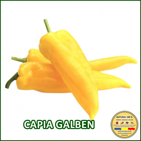 Ardei capia / kapia - ARDEI CAPIA GALBEN www.natural100.ro