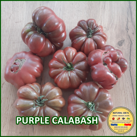 ROSII PURPLE CALABASH www.natural100.ro [2]