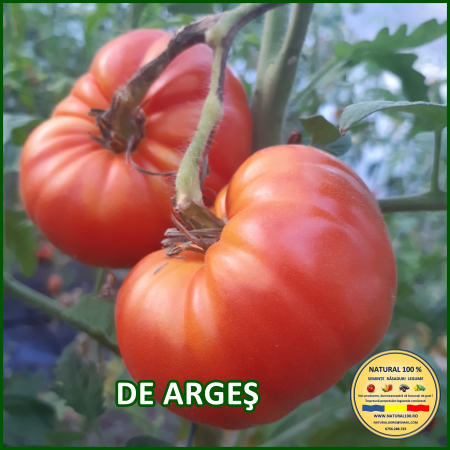 ROSII DE ARGES www.natural100.ro [1]