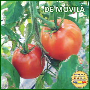 ROSII DE MOVILA www.natural100.ro