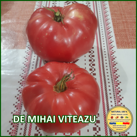 ROSII DE MIHAI VITEAZU www.natural100.ro [2]