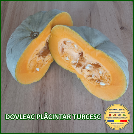 Seminte de dovlecei - DOVLEAC PLACINTAR TURCESC www.natural100.ro